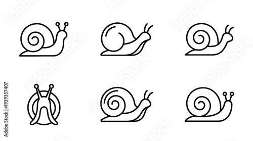 collection of snail, minimal thin icon vector set , white background , PNG and SVG isolate