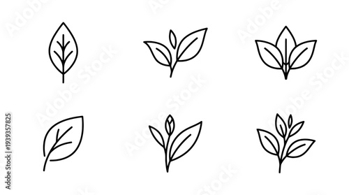 collection of tea leaf, minimal thin icon vector set , white background , PNG and SVG isolate