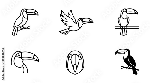 collection of toucan, minimal thin icon vector set , white background , PNG and SVG isolate