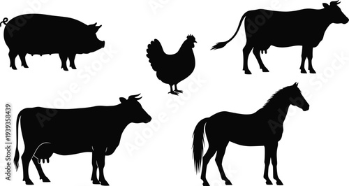 Farm animal silhouettes with pig, chicken, cow and horse, agriculture vector illustration, rural life design art for education and culture