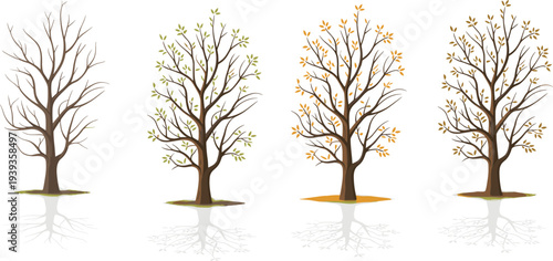 Four stylized trees depicting seasonal changes with bare branches, sparse green leaves, sparse orange leaves, and full brown leaves on a white background