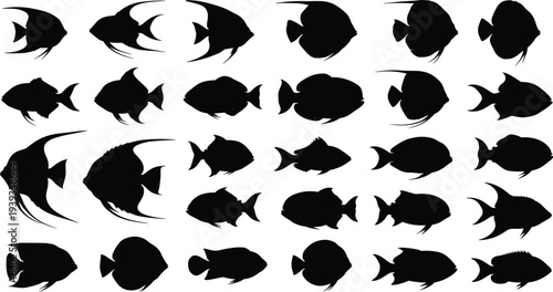 Fish silhouette vector illustration, marine species diverse fins tails aquatic design decorative isolated pattern for stock platform discoverability