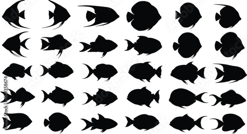 Fish silhouettes collection in varied shapes, fins, tails, vector illustration for marine life, ocean, aquatic species, education, and design themes