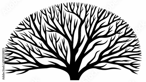 Stunning black silhouette of a bare tree with sprawling branches