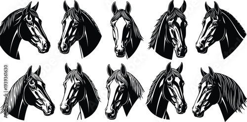 Black and white vector collection of realistic horse head silhouettes featuring various equestrian profiles and majestic stallion portraits isolated on a white background