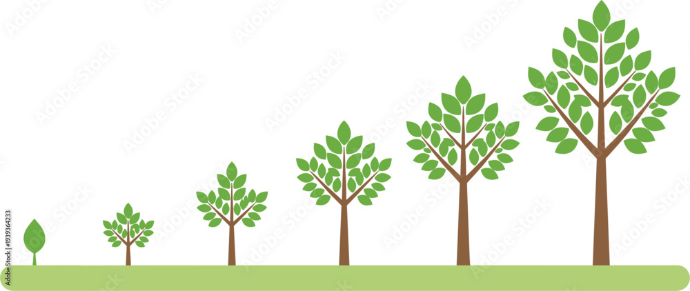 Fototapeta premium Vector illustration showing various stages of tree growth from a small green sprout to a fully mature tree with lush foliage.