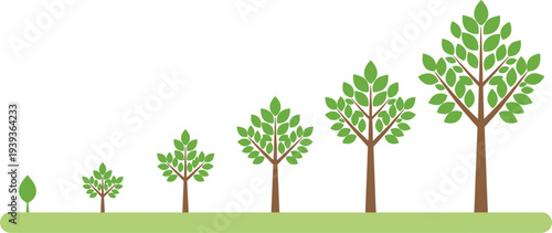 Vector illustration showing various stages of tree growth from a small green sprout to a fully mature tree with lush foliage.