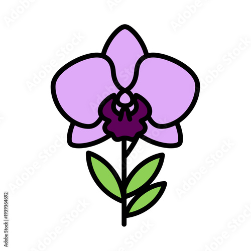 Purple Orchid Flower Illustration with Green Leaves
