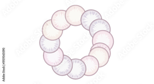 Pearl Necklace Circle Jewelry Pink White.