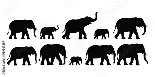 Group of Elephant Silhouettes Including Adults and Young White Background animal wildlife