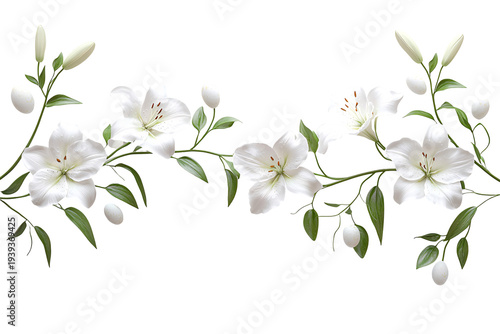 Elegant white lily floral border with green leaves and buds, isolated on transparent background for wedding and greeting card design.