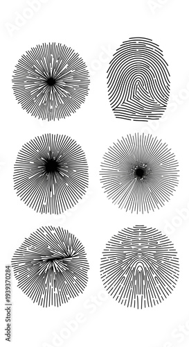 Abstract Fingerprint Patterns: Unique Identity, Security, and Digital Biometrics