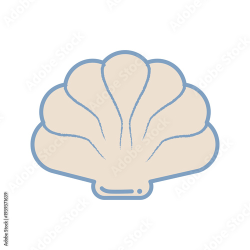 seashell