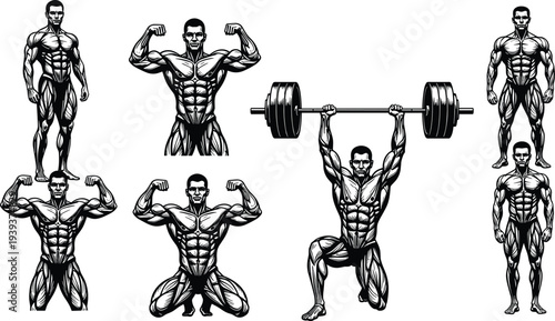Bodybuilder silhouette vector illustration, muscular male fitness poses flexing lifting barbell strength training decorative isolated design for stock discoverability