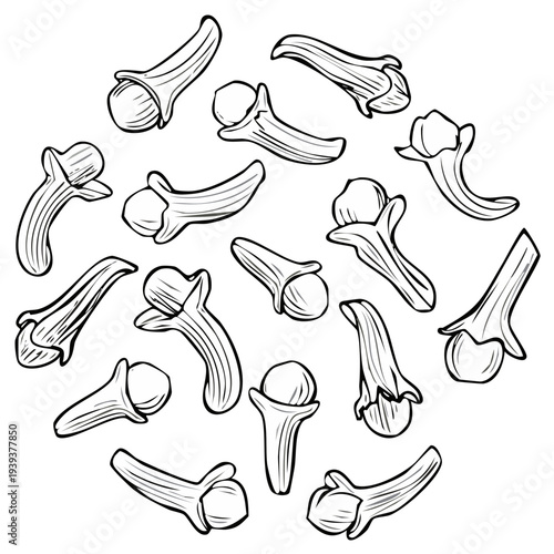 Spice cloves scattered arrangement aroma fragrant seasoning herbal flavoring