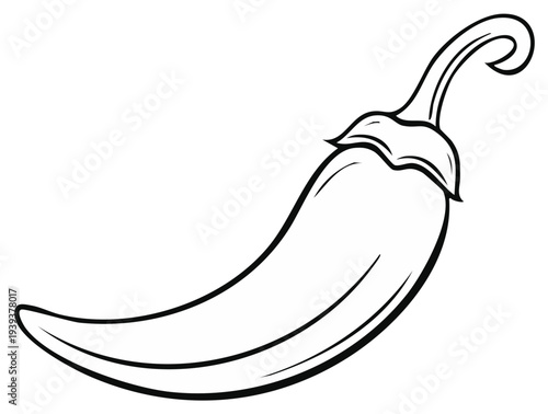 Chili pepper illustration, isolated on white background, black and white outline.