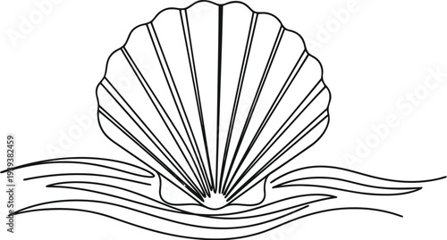 Hand drawn sketch of a seashell resting on stylized ocean waves
