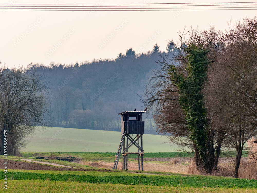Naklejka premium Hoch und Jägersitz im Feld