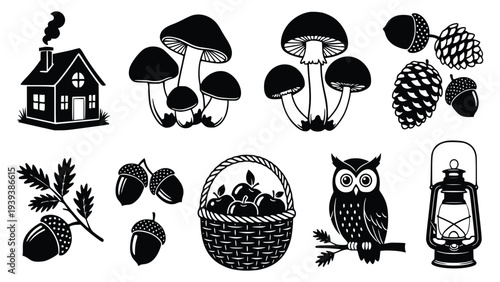 Collection of black and white illustrations featuring forest elements and a house with smoke coming out of the chimney creating a cozy autumnal atmosphere with natural elements.