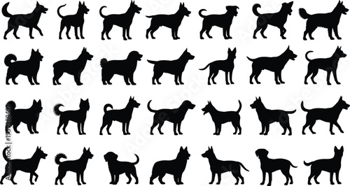 Dog breed silhouettes in diverse poses, standing, sitting, running, lying down, tail shapes, ear positions, canine anatomy, vector illustration, artistic design, pet care theme