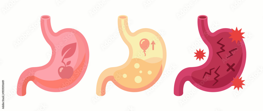 Εκτύπωση καμβά The image illustrates the human digestive system with variations in stomach states, showcasing the processes of digestion, nutrition, and the impact on health and wellbeing
