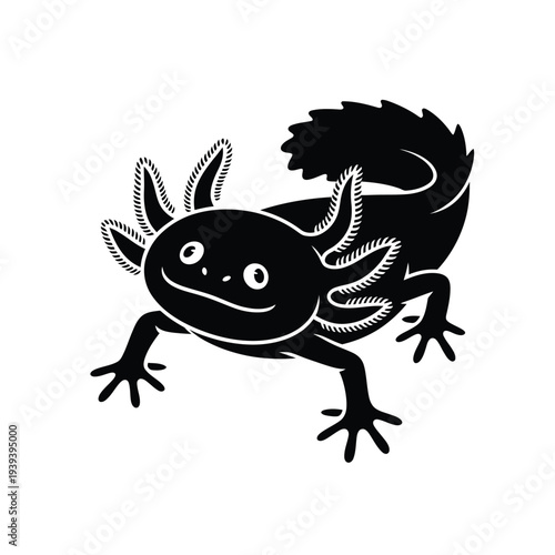 Black and white illustration of an axolotl a neotenic salamander