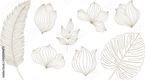 Elegant botanical line art vector collection featuring tropical monstera leaves, palm fronds, and blooming floral buds in a minimal gold wireframe style. (23 words)