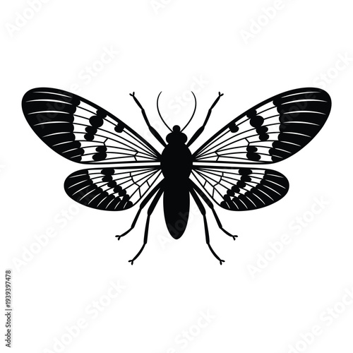 A striking black and white illustration of a butterfly with detailed wings