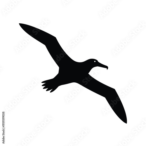 A striking silhouette of an albatross soaring gracefully through the air