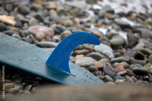 classic longboard fin and leash resting on a surfboard at the shoreline, capturing an essential piece of surfing equipment before entering the Pacific waves. The image reflects the spirit of an active