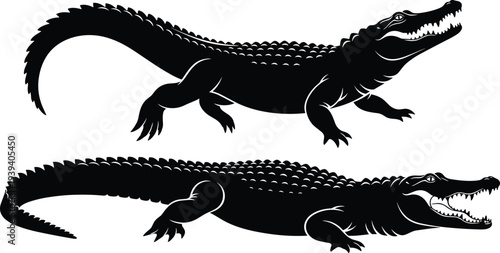 Vector illustration of stylized alligator and crocodile silhouettes symbolizing wildlife, nature, culture, tradition, identity, and education