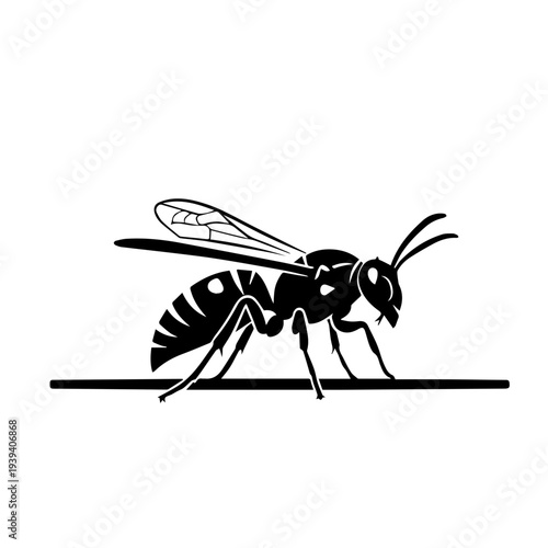 Striking black and white vector illustration of a wasp, an essential insect from nature, perfect for diverse graphic design projects and educational materials