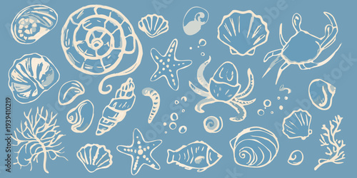 A collection of hand drawn seashells marine life and coral on blue