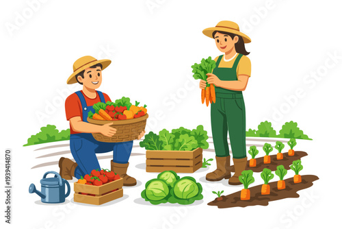 Young caucasian male and female farmers harvesting vegetables in garden.