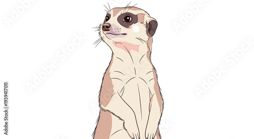 Mongoose Standing Upright Illustration.