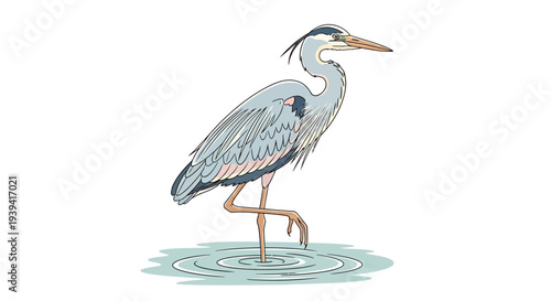 Grey Heron Standing in Water Illustration.