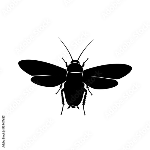 Abstract black silhouette of an insect with outstretched wings, a detailed vector graphic depicting a common household pest or flying creature, ideal for digital design and educational materials
