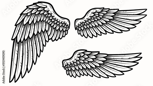 wings set hand drawn sketch vector illustration. Engraved hand drawn sketch, isolated on white backgroun
