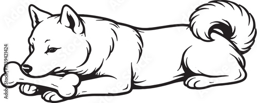 Shiba Inu Lying Down Chewing Bone Side View Black and White Line Art Illustration