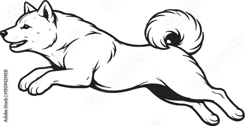 Shiba Inu Jumping Mid Air Side View Black and White Line Art Illustration