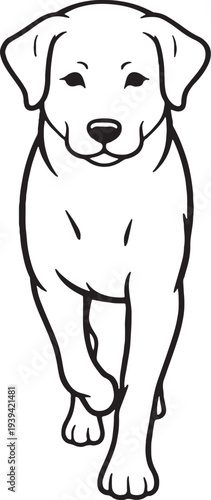Dog Trotting Toward Viewer Front View Black and White Line Art