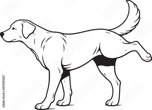 Dog Marking Territory Leg Lift Side View Black and White Line Art Illustration