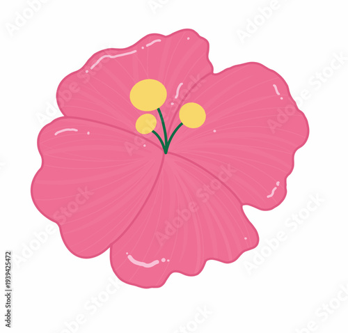 Hibiscus Flower, Tropical Hibiscus, Red Hibiscus, Summer Flower