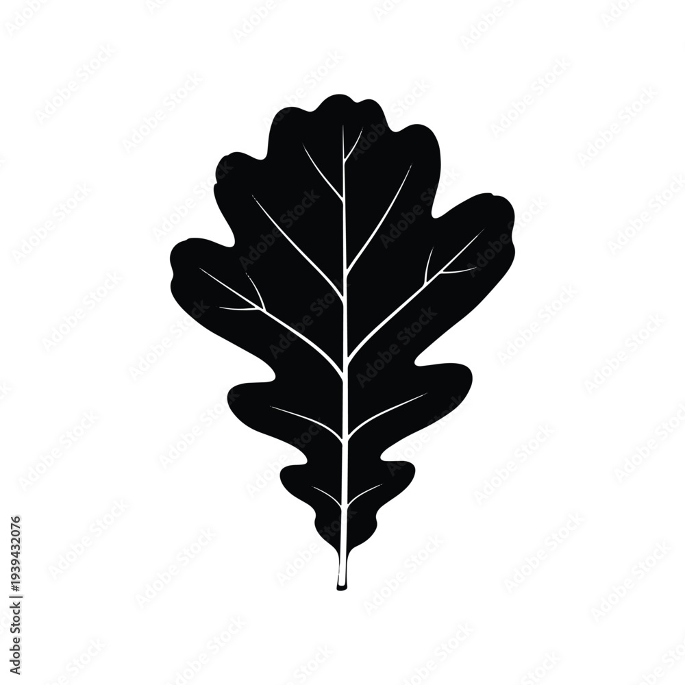 Fototapeta premium Oak Leaf Nature Botanical Silhouette Vector Illustration
