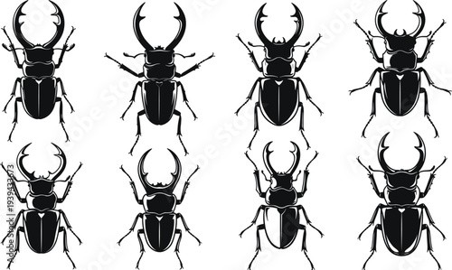 Eight stag beetle silhouettes, symmetrical insect illustrations, entomology vector art, wildlife design, mandibles detail, black insect drawing, educational nature graphic