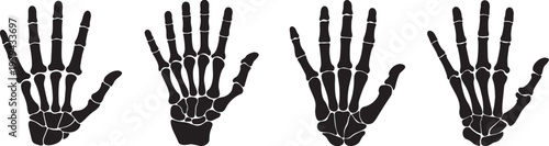 Skeleton Hand Vector Pack: Bone X‑Ray Silhouettes .