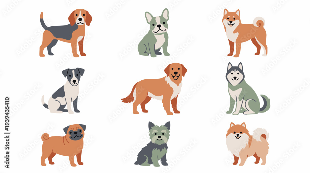 Fototapeta premium Set of various cute purebred dog breed characters in flat vector illustration style isolated on white, concept for pet shop branding, veterinary clinic identity and animal sticker design
