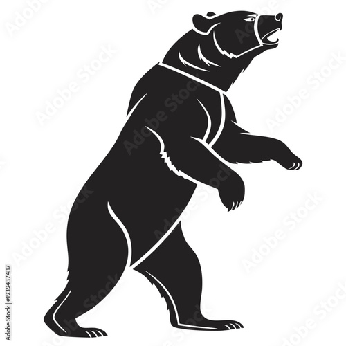 Stunning black bear standing tall in powerful pose