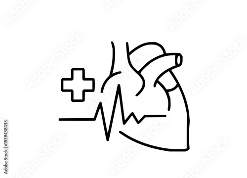 Stylized outline illustration of a healthy human heart with a rhythmic heartbeat line and a medical cross, symbolizing cardiac wellness, healthcare, and vital organ function in a clean, modern design