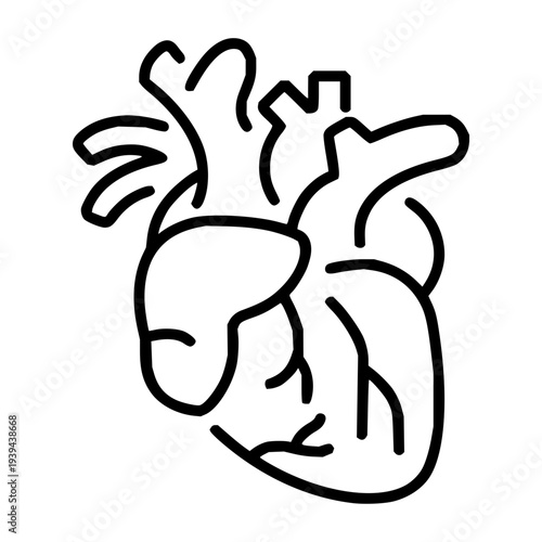 A stylized line art illustration of a human heart, representing health, love, and life